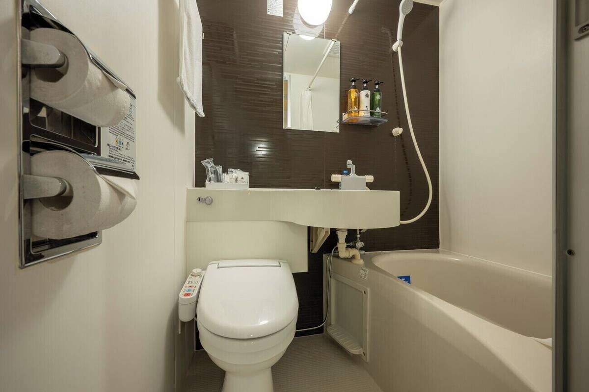 combined shower/bathtub, free toiletries, hair dryer, slippers