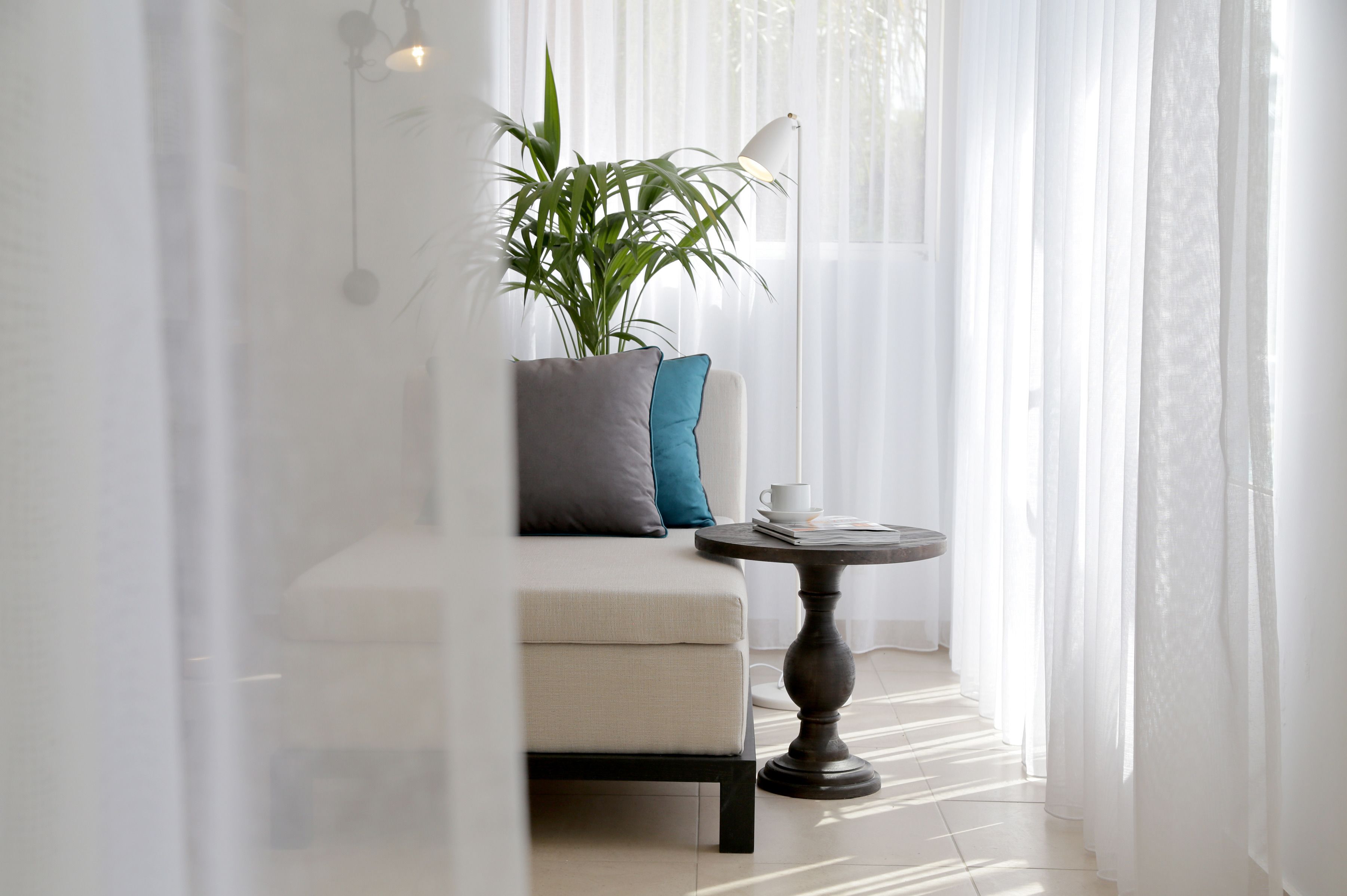 A modern, well-lit room with a sofa, a small table, and a potted plant.