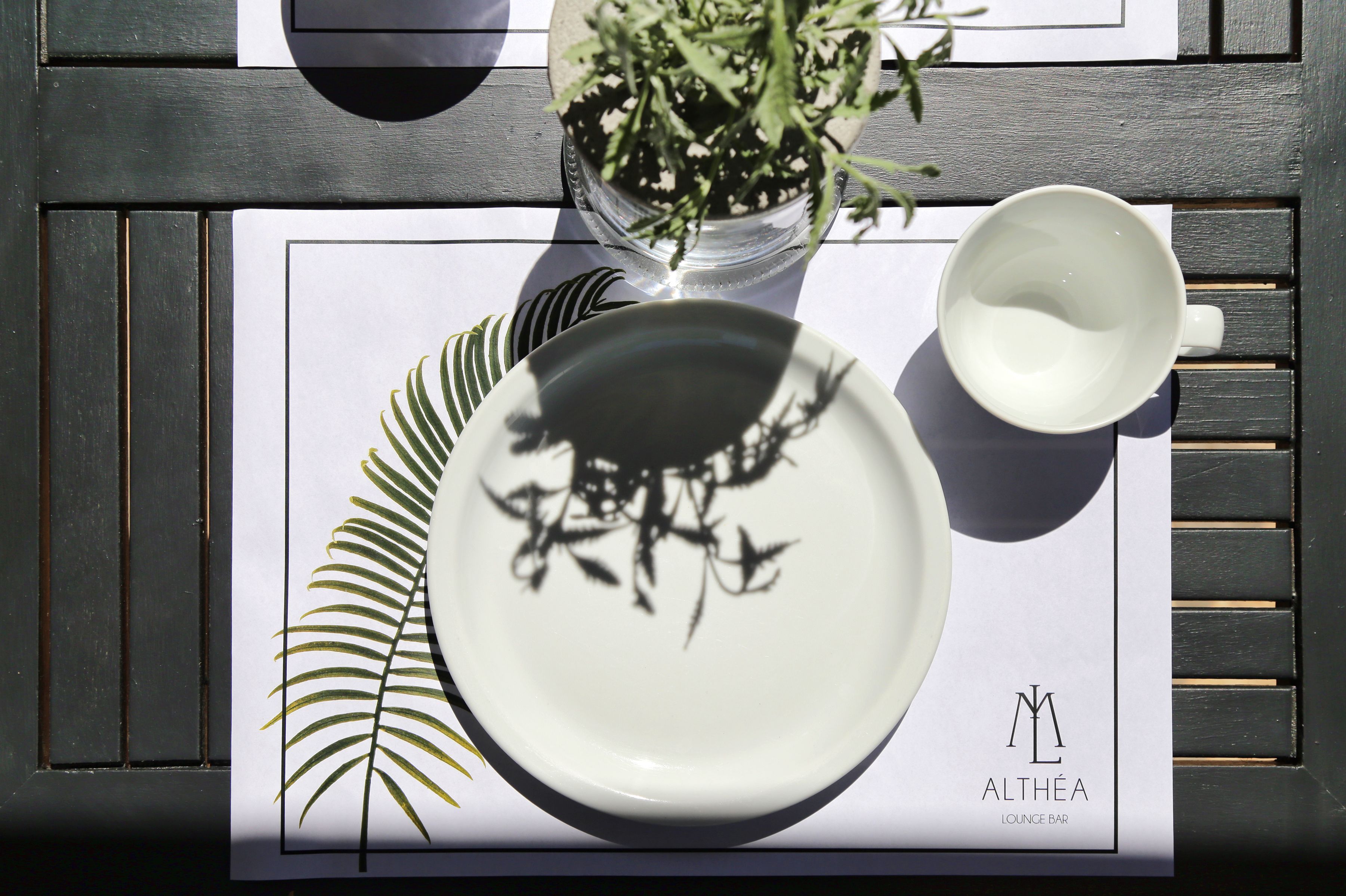 A table with a white plate, a white cup, and a potted plant.