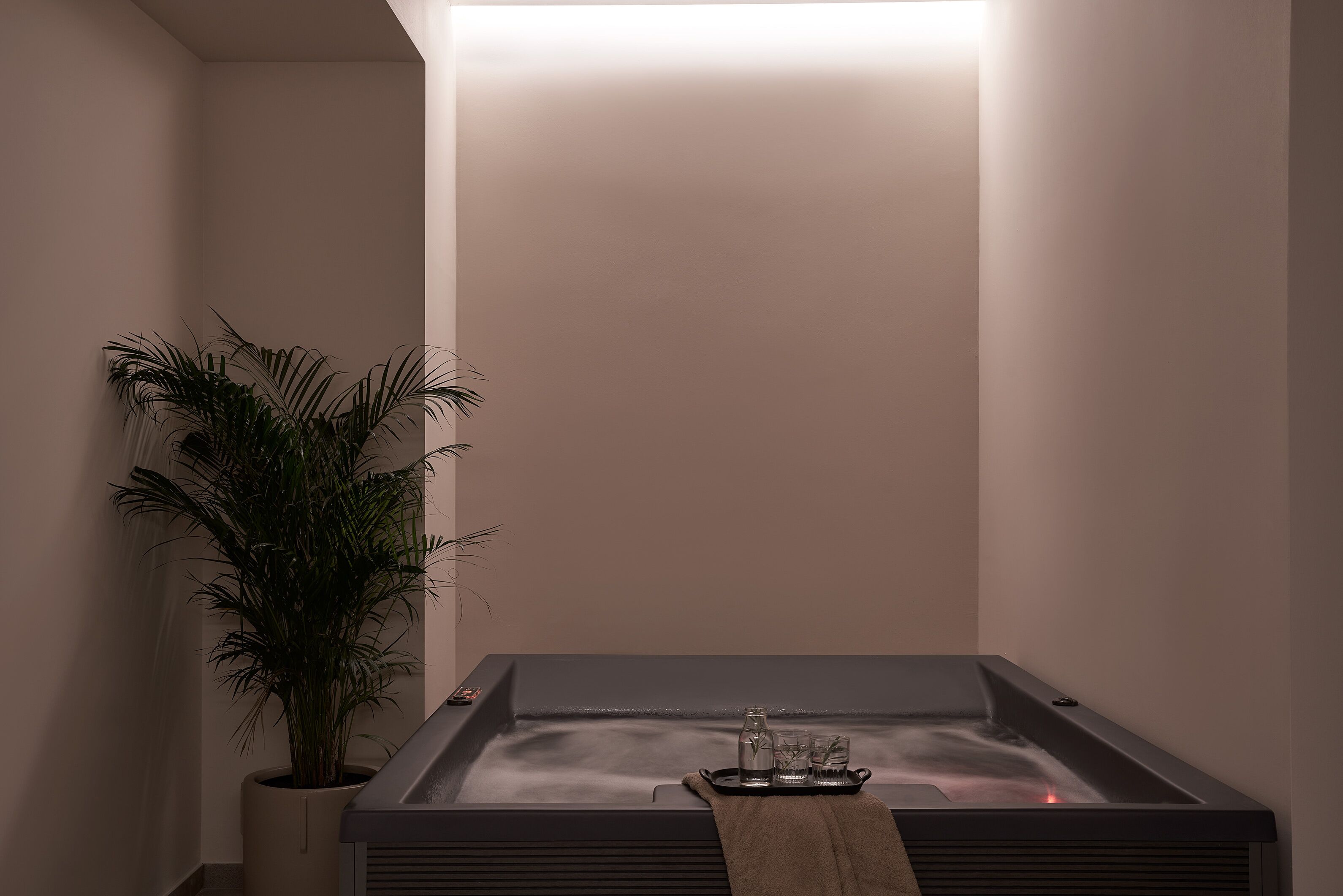 A spa room with a hot tub, a potted plant, and a tray with glasses and a bottle.