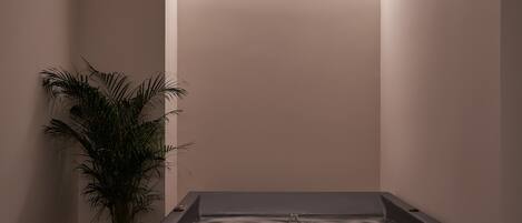 A spa room with a hot tub, a potted plant, and a tray with glasses and a bottle.