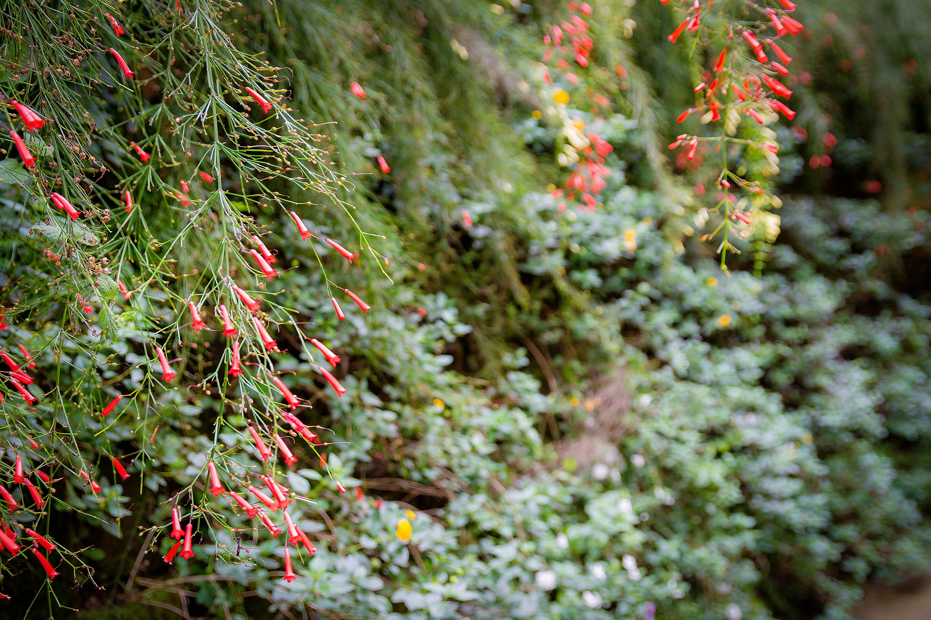 Foto - Imperial Heights Hotel, Entebbe