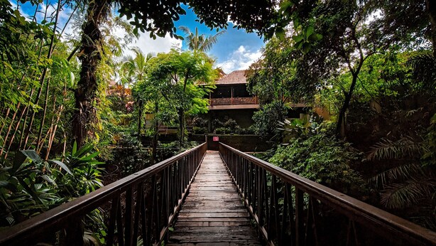 Un puente de madera que conduce a un edificio rodeado de abundante vegetación.