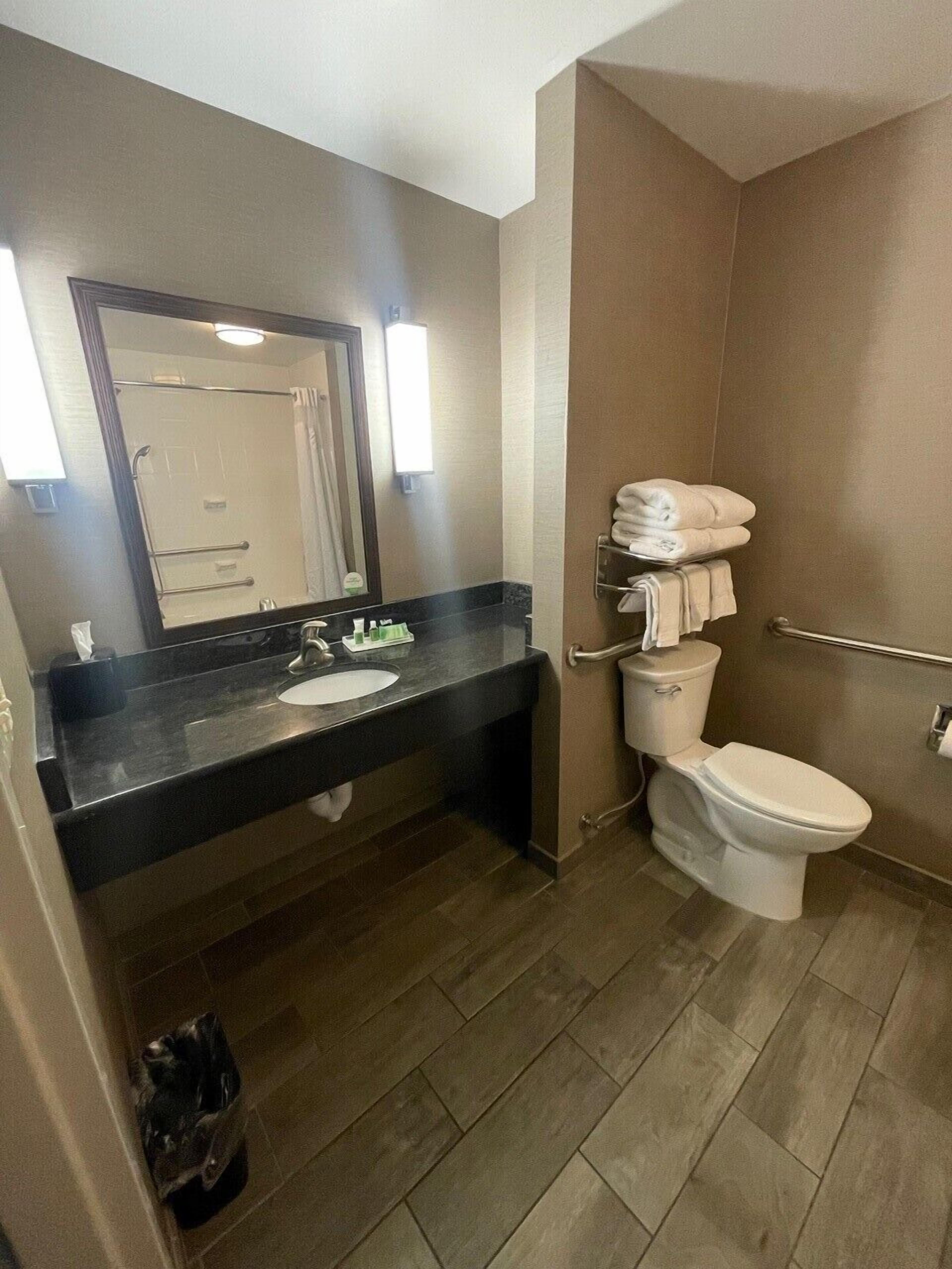 A modern bathroom with a black countertop sink, a white toilet, and a glass shower enclosure.
