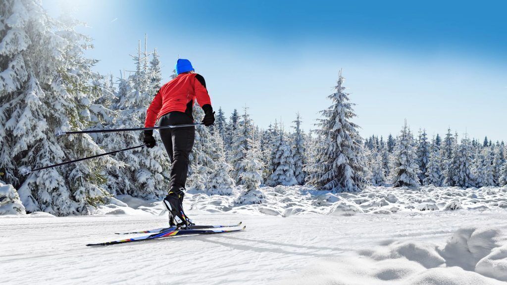 Snø- og skisport