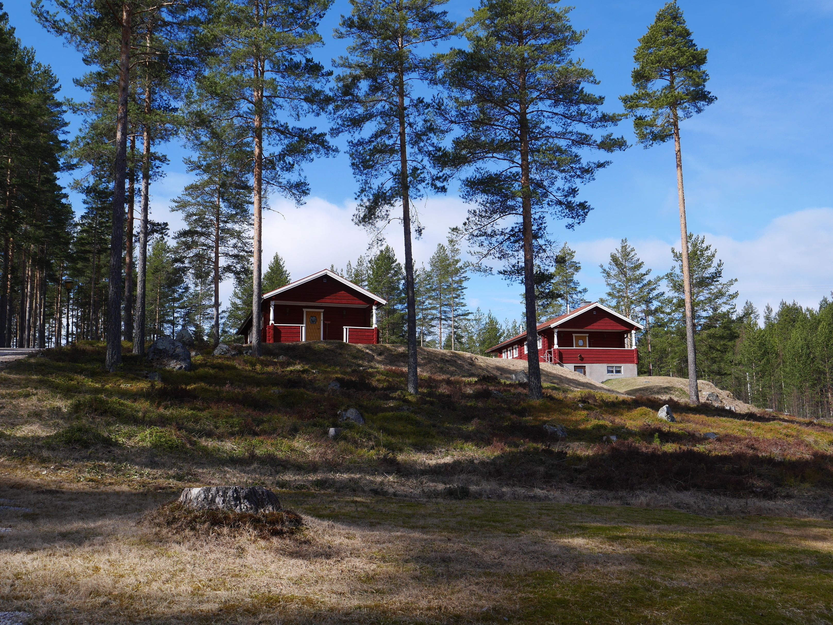Två röda stugor med vitmålad panel, omgivna av höga tallar, på en grönskande sluttning.