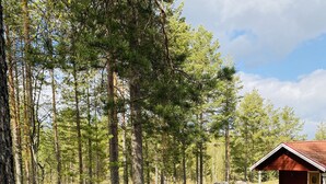 A cabin in a forest with a red roof, surrounded by tall trees and a grassy area. - Hotell Moskogen (Leksand)