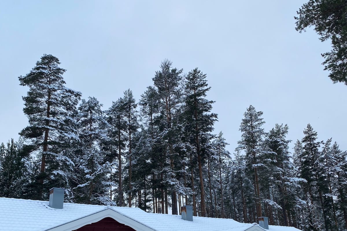 Filas de cabañas rojas con puertas amarillas, rodeadas de árboles cubiertos de nieve.