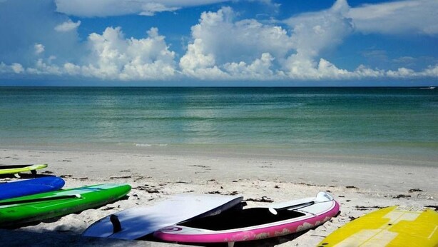 Una playa con varios kayaks de colores alineados sobre la arena.