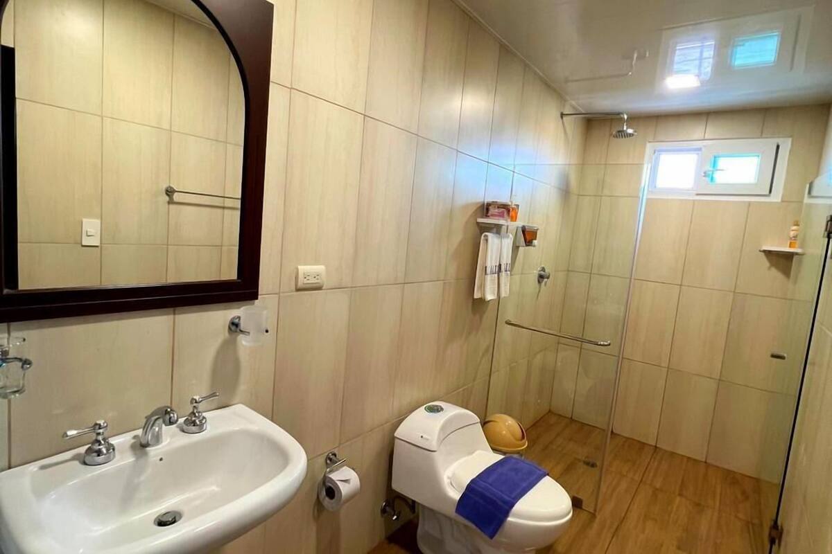 shower, free toiletries, towels