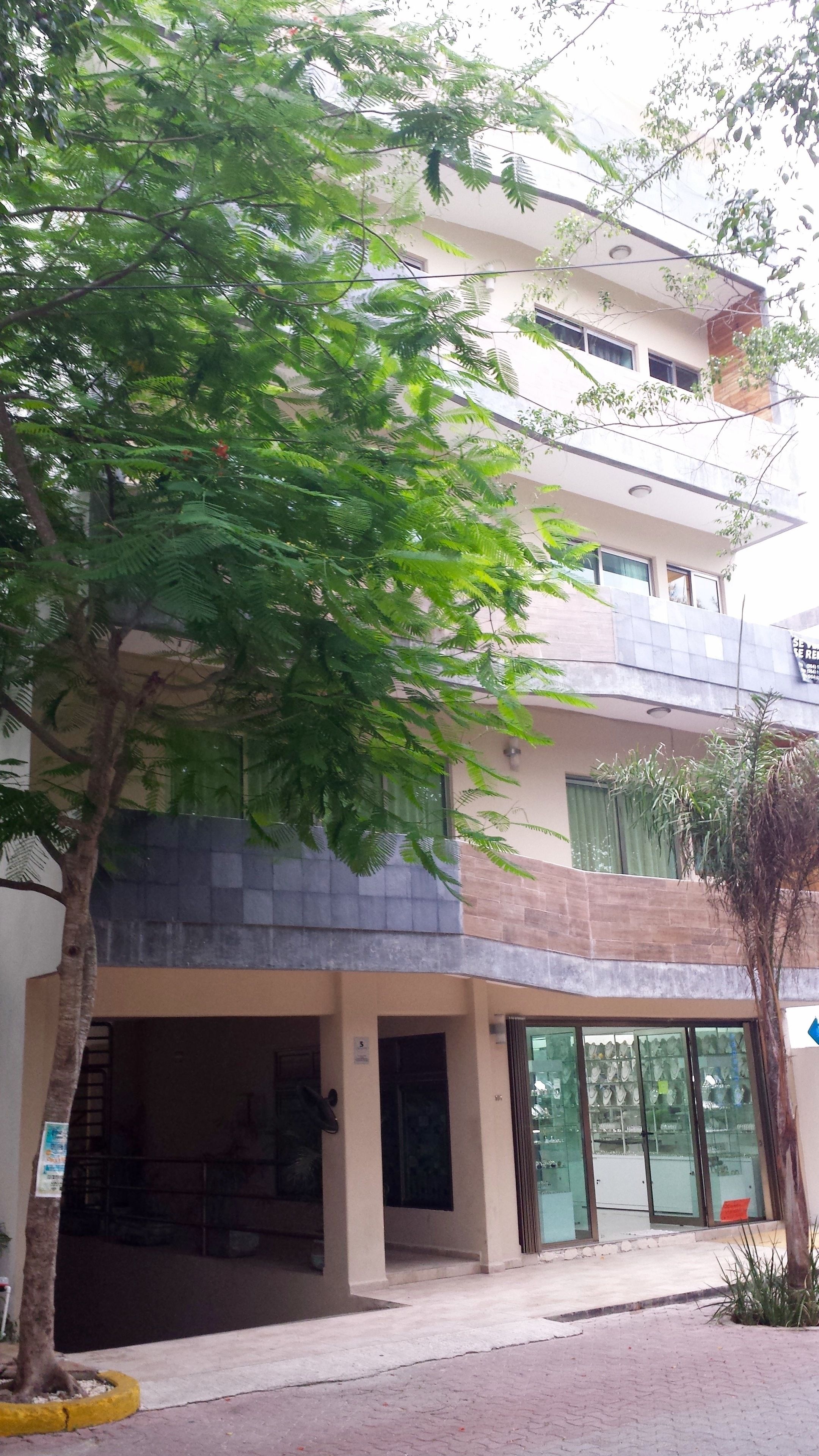 Foto - Maya Vacanze Playa Quinta B&B