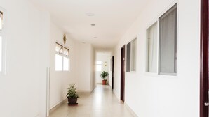 Un pasillo largo y estrecho con paredes blancas y suelo de baldosas. Hay macetas con plantas a lo largo del pasillo, y una puerta con ventana en el lado derecho.