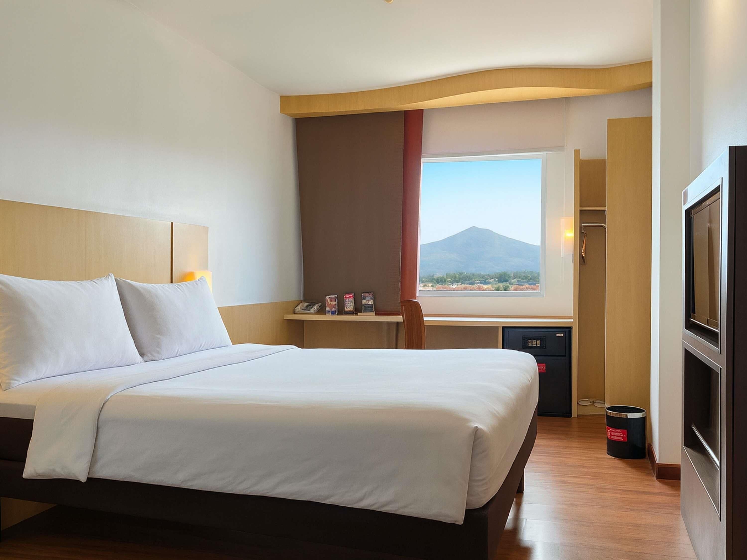 Chambre, 1 lit double, vue montagne