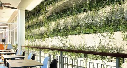 Ibis Bandung Pasteur
