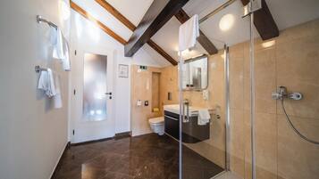 A modern bathroom with a glass shower enclosure, a sink, and a toilet.