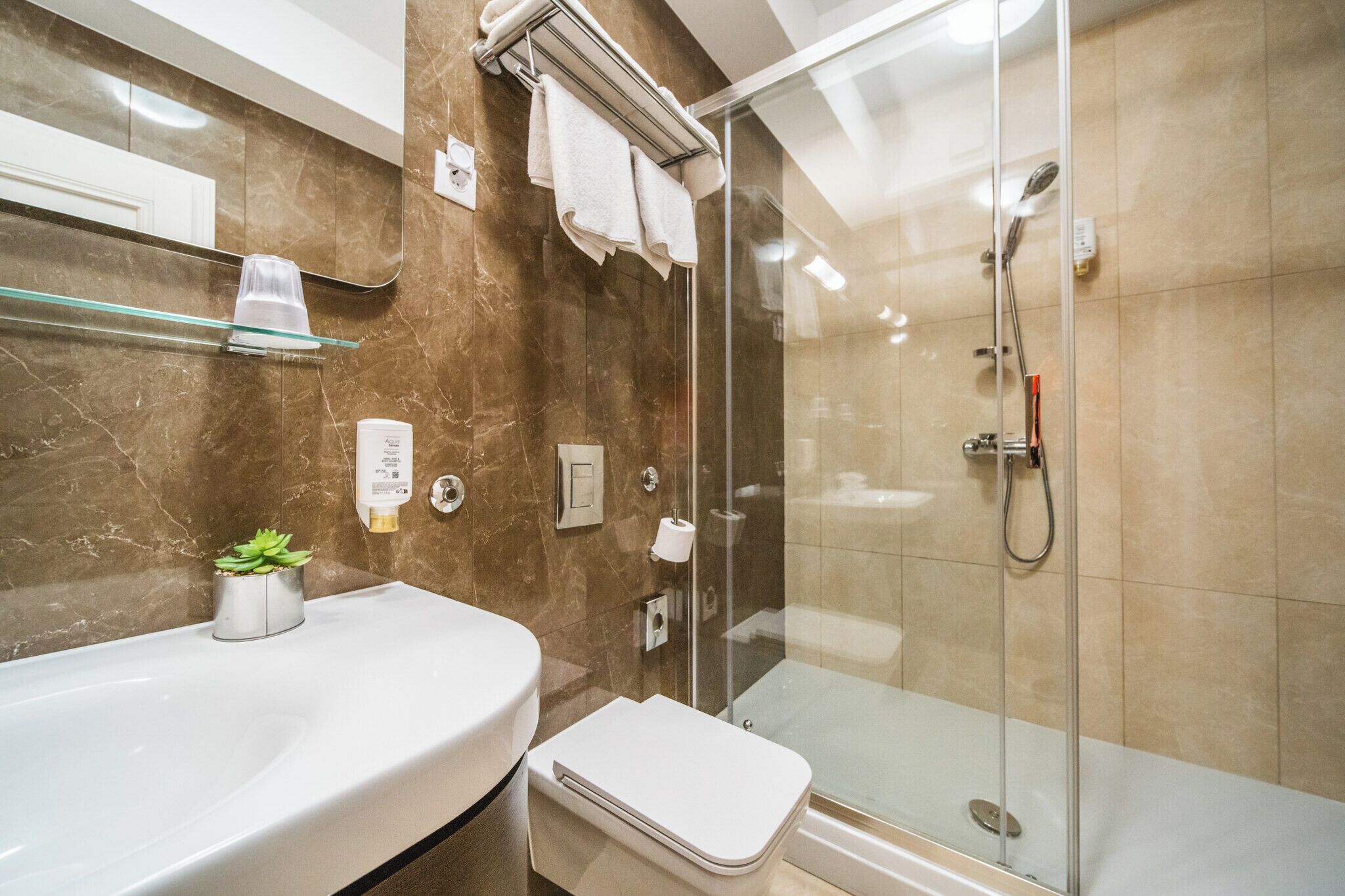 Une salle de bain moderne avec une douche en verre, un lavabo blanc et une petite plante en pot.