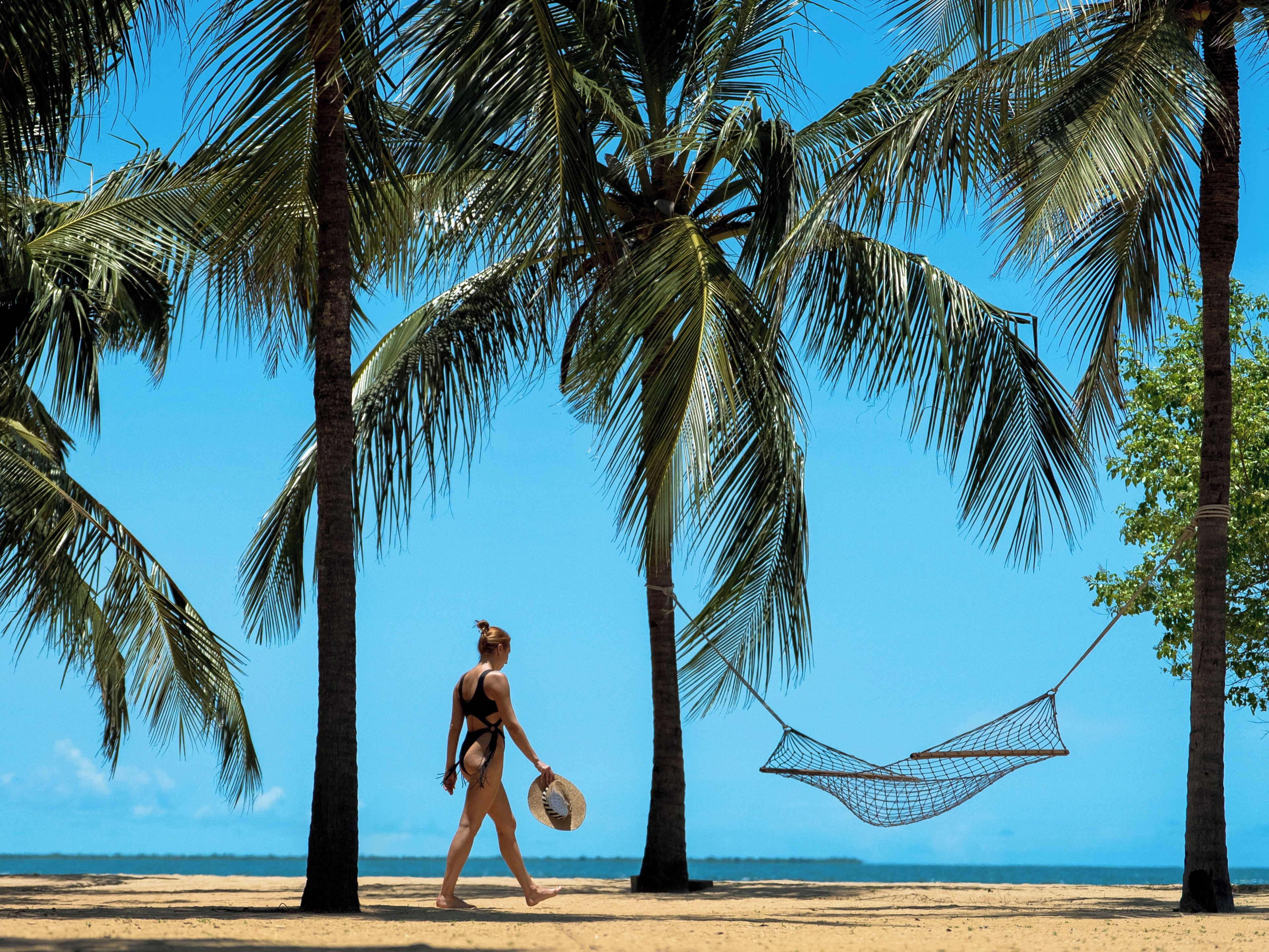 Escena de playa con palmeras, una hamaca y una persona caminando.