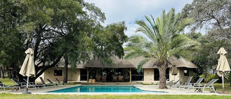 Outdoor pool, pool umbrellas, sun loungers
