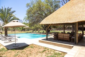 Outdoor pool, pool umbrellas, pool loungers - Mziki Safari Lodge (Beestekraal)