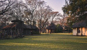 Jardim