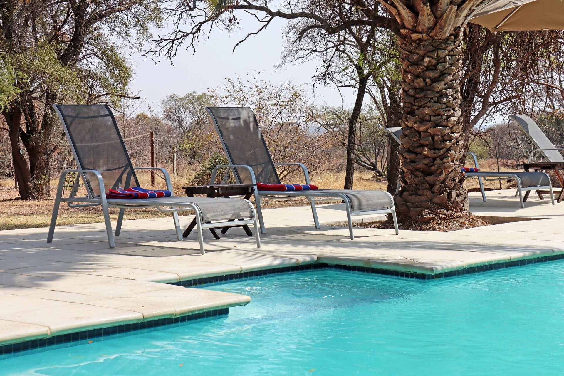 Outdoor pool, pool umbrellas, sun loungers