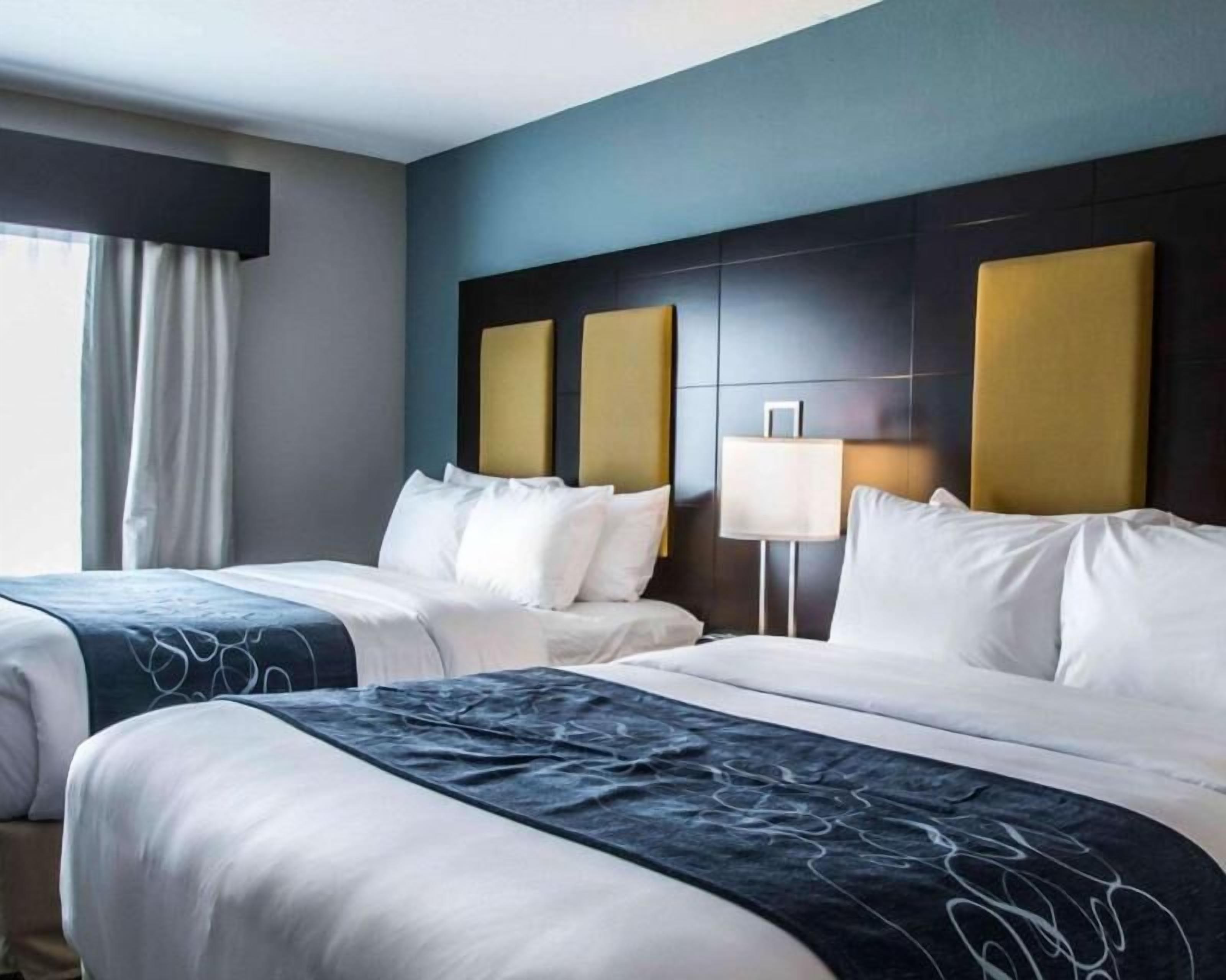 1 habitación, ropa de cama de alta calidad y camas con pillow-top 