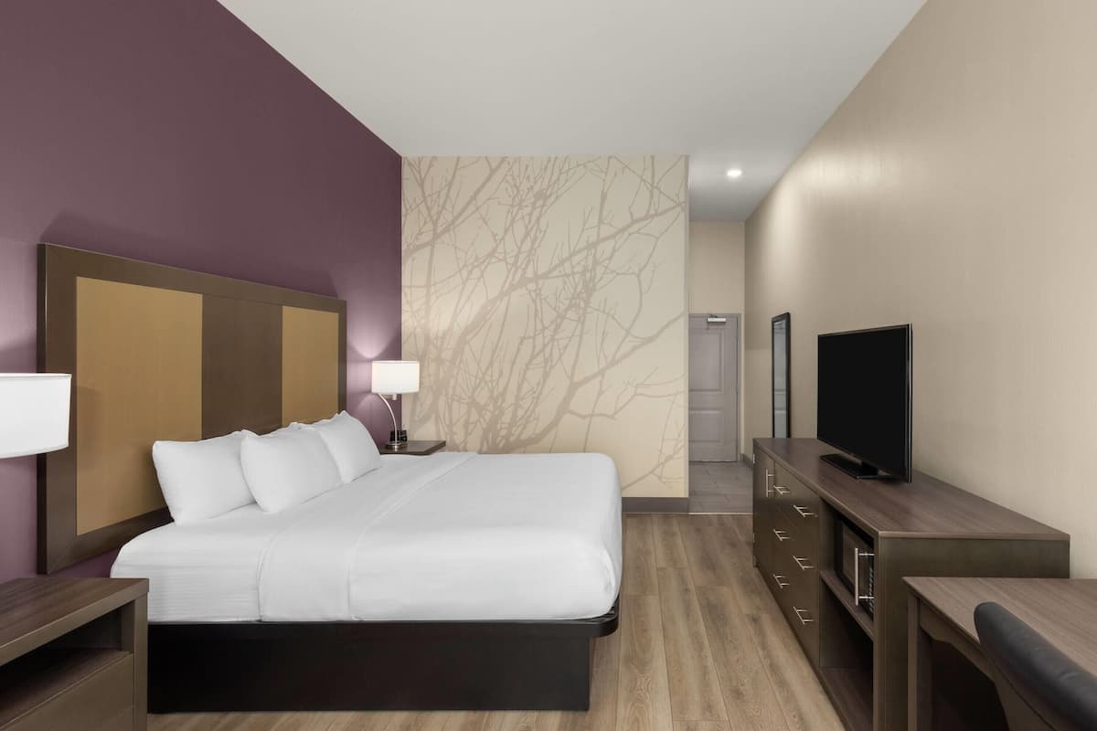 Une chambre d’hôtel moderne dotée d’un grand lit, d’un téléviseur à écran plat, d’un bureau et d’un mur décoré avec un motif représentant une branche d’arbre.
