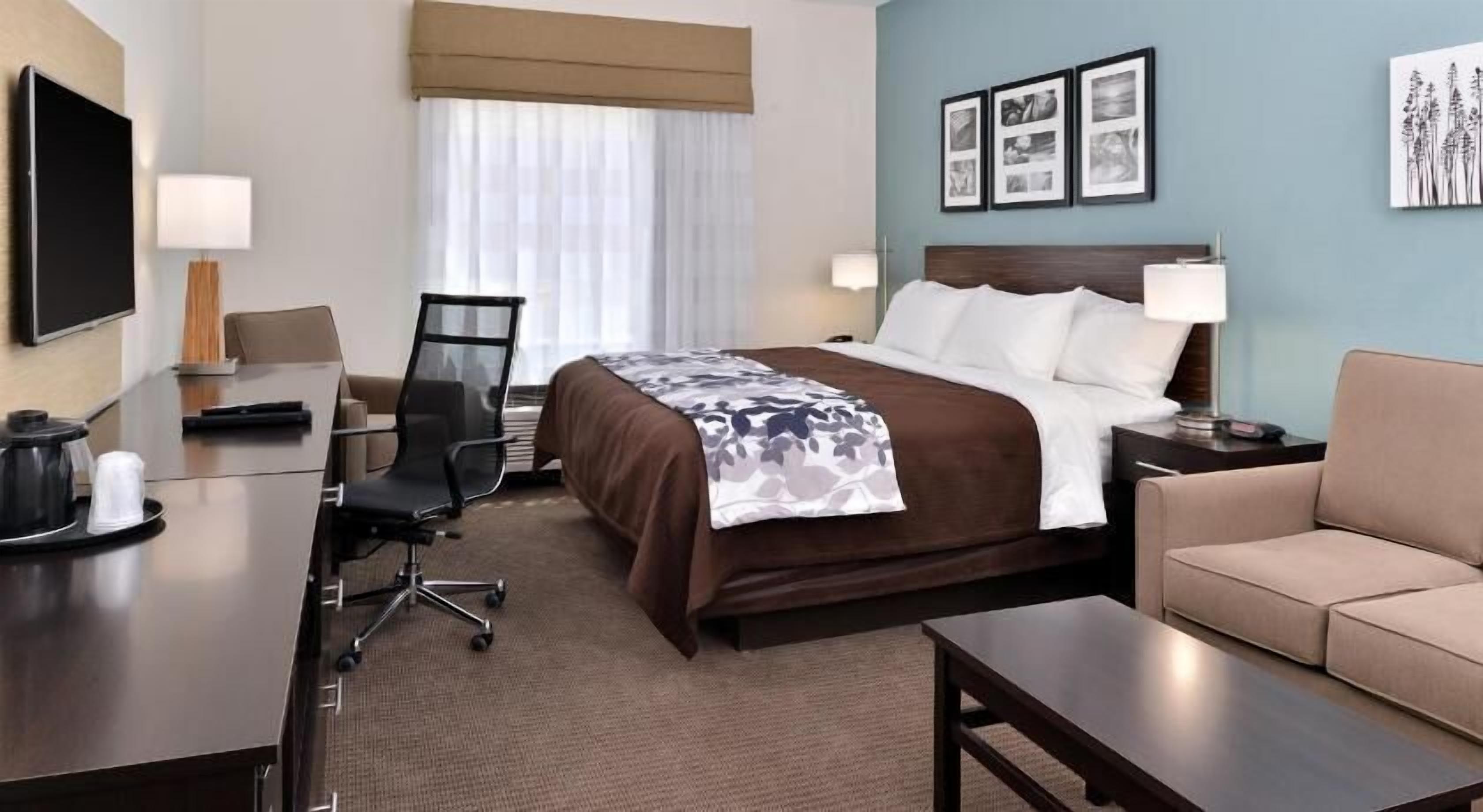 A hotel room with a bed, desk, chair, and a sofa.