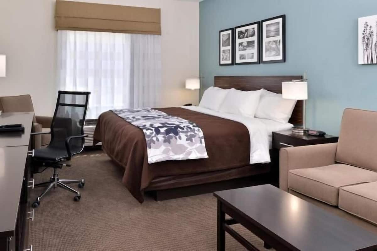 A hotel room with a bed, desk, chair, and a sofa.