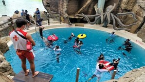 A group of people in a pool with a rocky backdrop and an octopus sculpture. - Lee Design Hotel (Yongin)