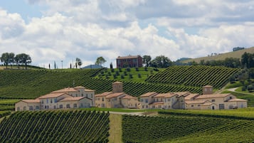A large estate with multiple buildings and expansive vineyard fields.