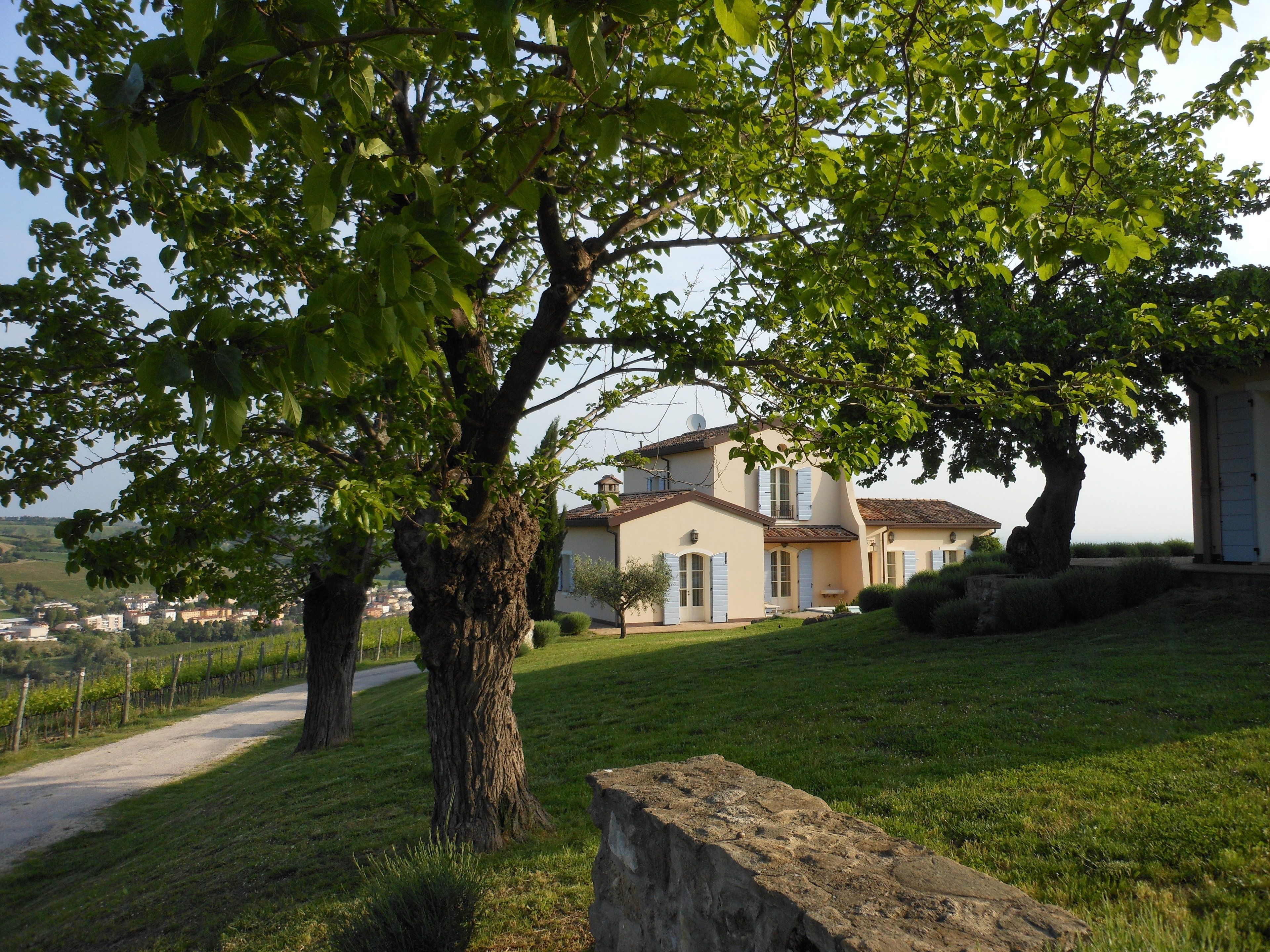 Foto - Borgo Conde Wine Resort