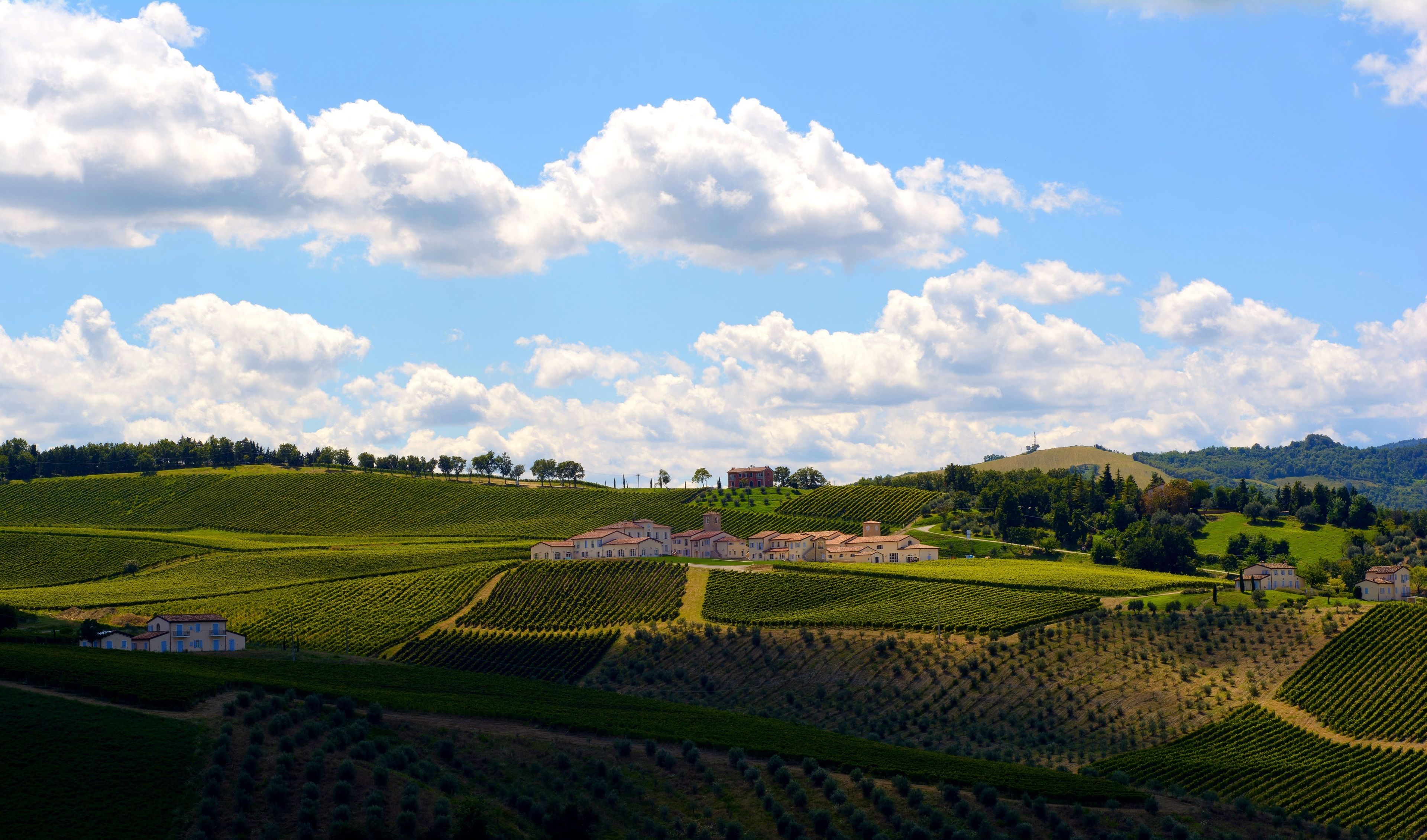 Paisaje de viñedo con campos en terrazas y un grupo de edificios.