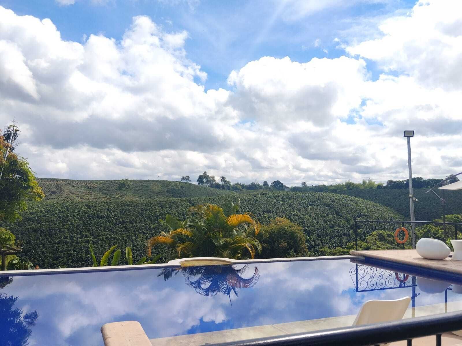 Outdoor pool, open 8:00 AM to 8:00 PM, pool loungers