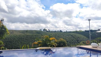 Outdoor pool, open 8:00 AM to 8:00 PM, pool loungers