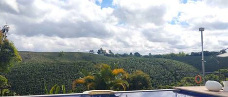 Una piscina con vistas a una exuberante ladera verde.