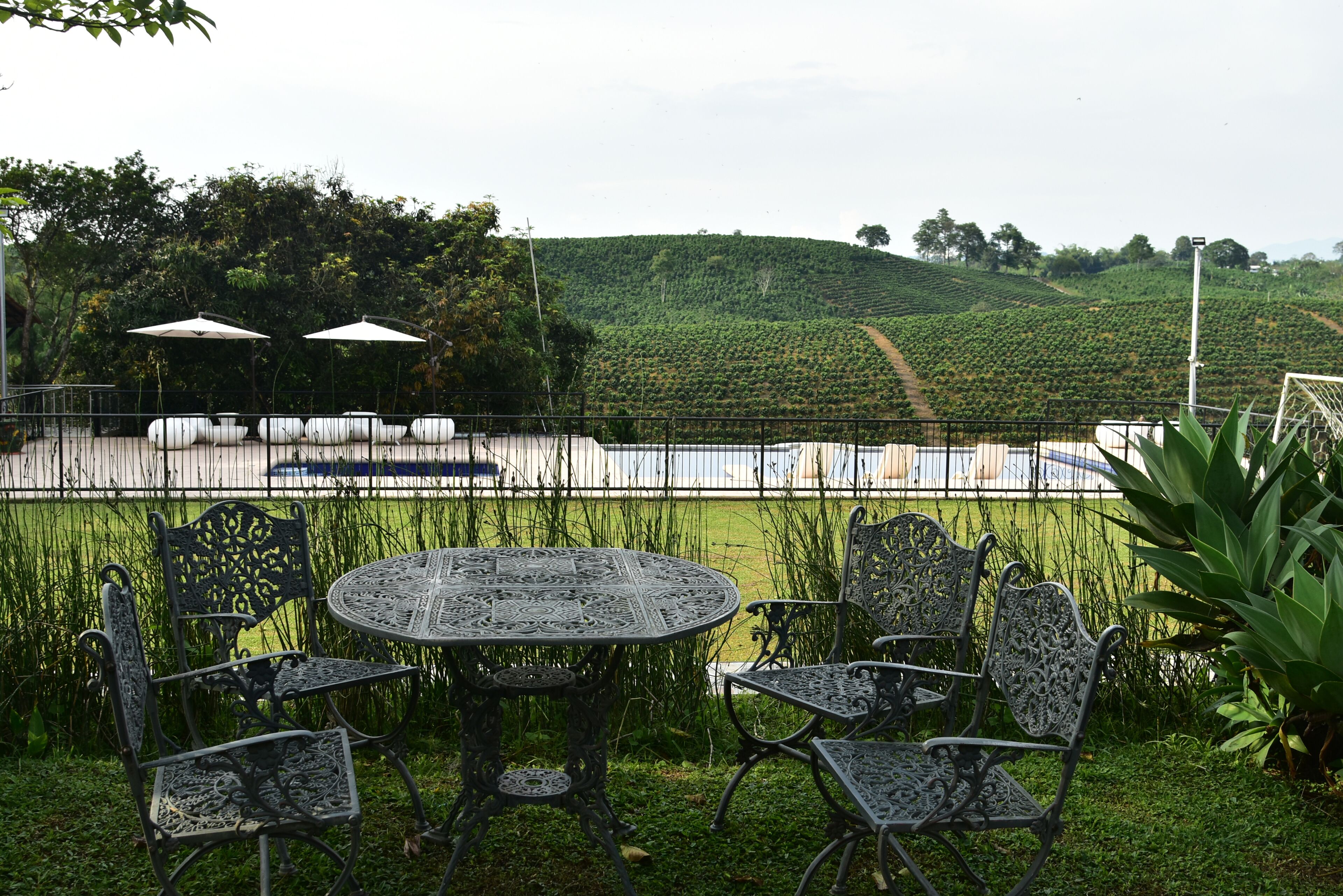 outdoor pool, open 8:00 am to 8:00 pm, pool loungers