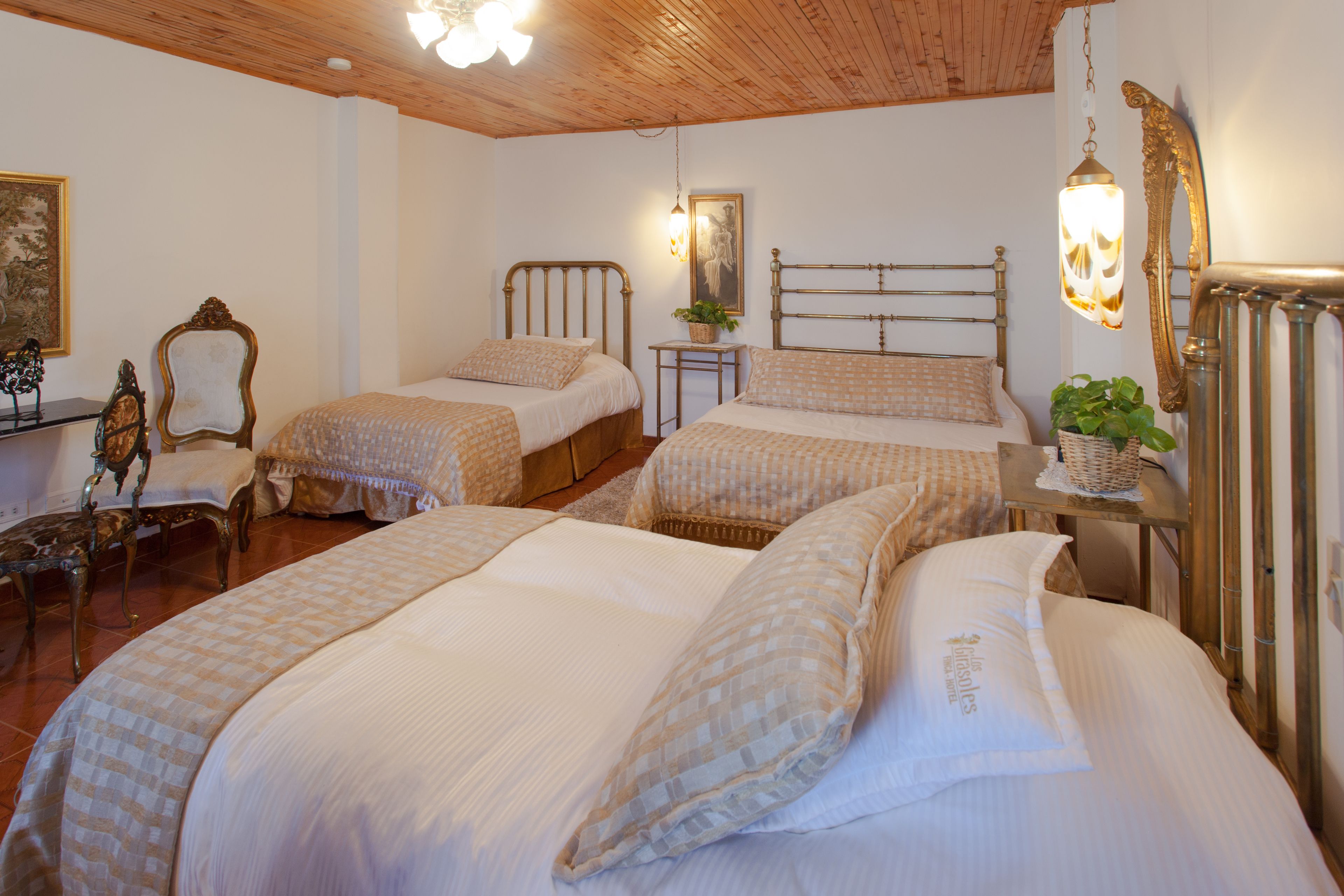 A bedroom with two beds, wooden headboards, a small table with a plant, and a hanging light fixture.