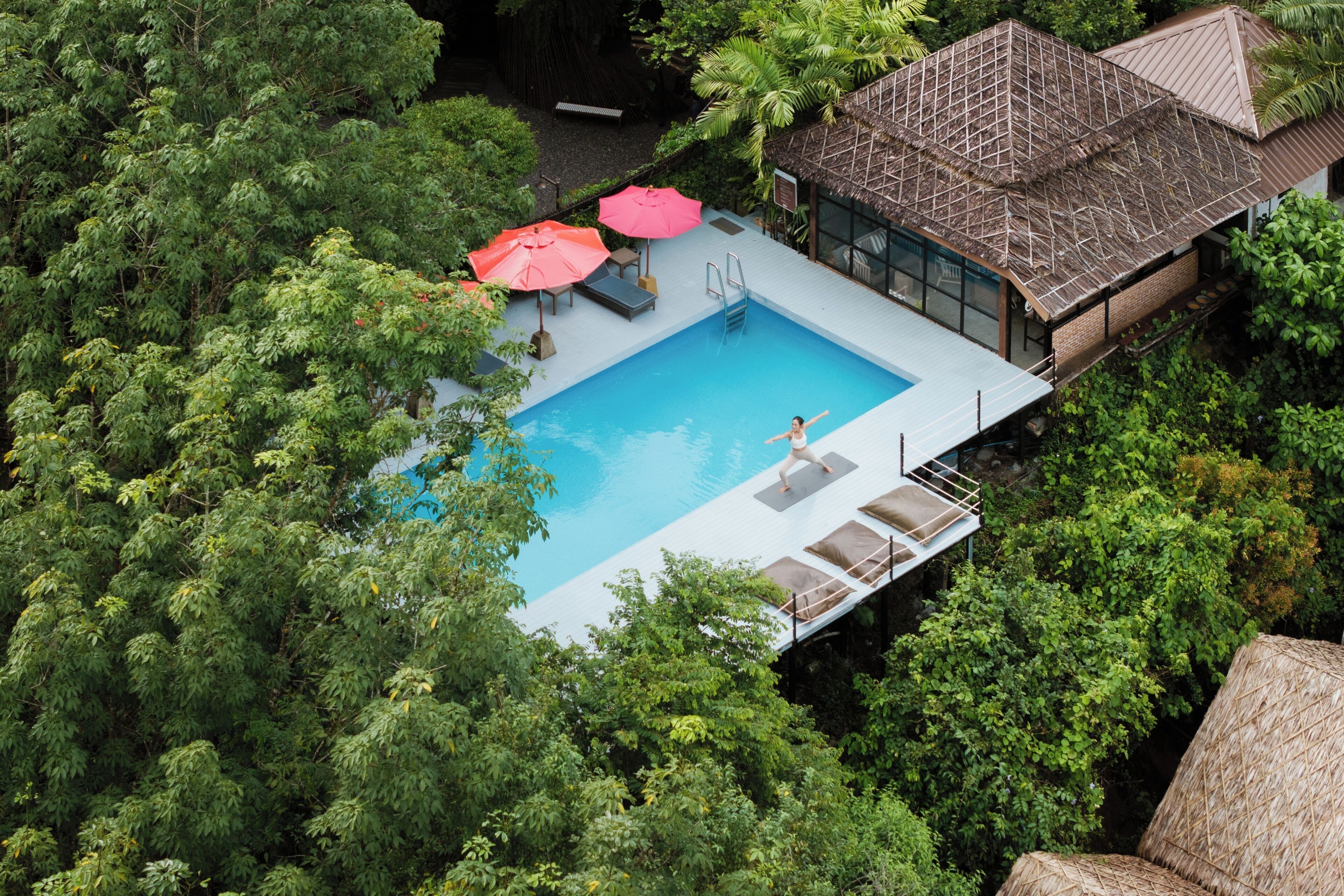 A pool with a wooden deck and lounge chairs, surrounded by dense greenery.