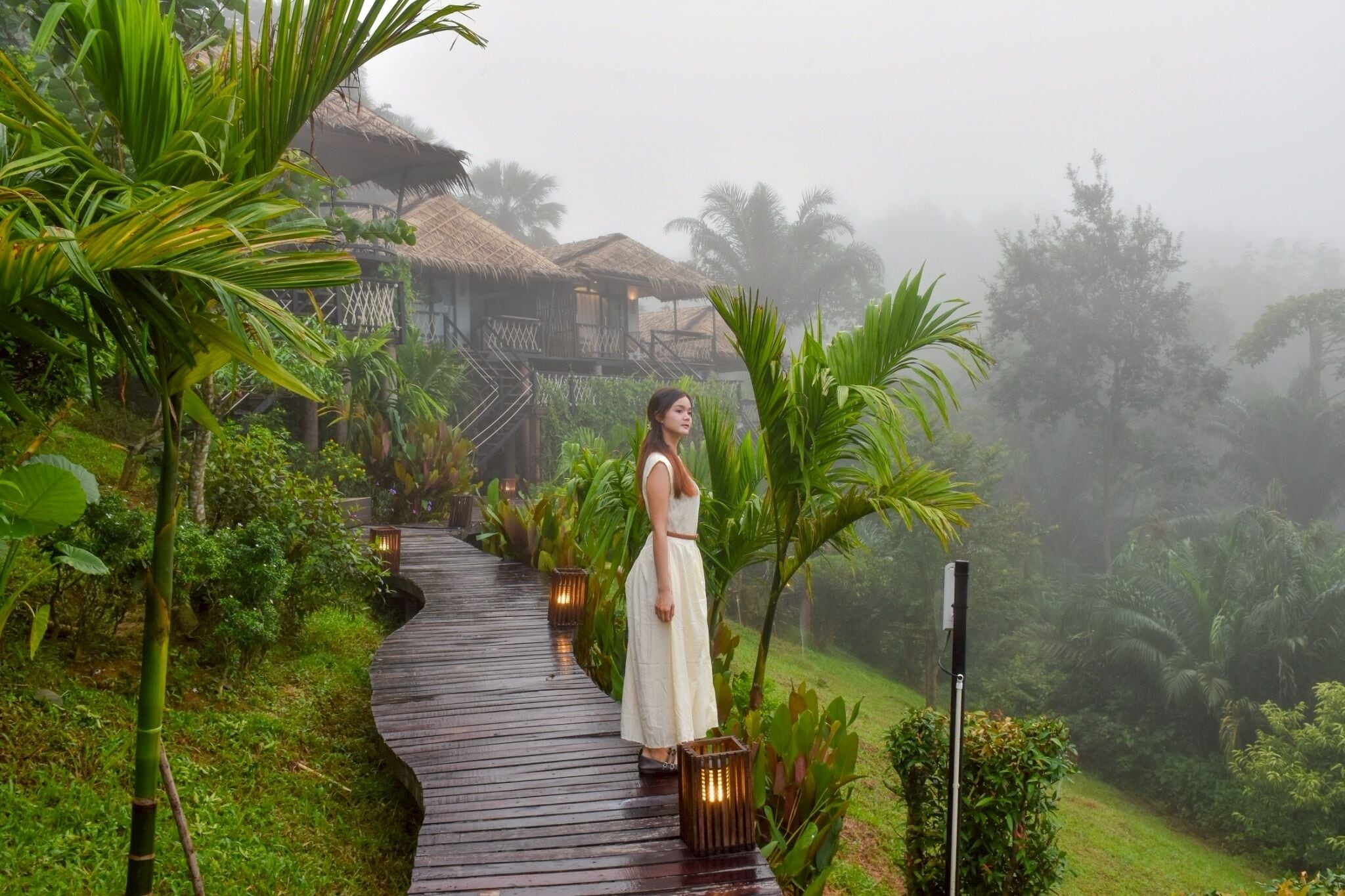 A person standing on a wooden pathway surrounded by lush greenery and a foggy landscape.