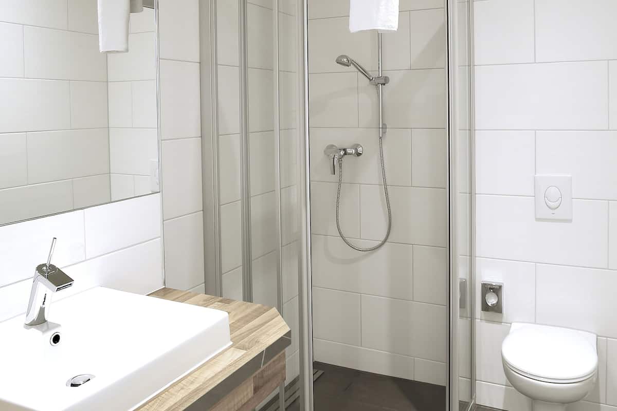 shower, free toiletries, hair dryer, towels