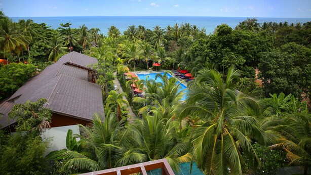 A tropical resort with a swimming pool surrounded by lush greenery and palm trees, overlooking a beach. - Tropicana Resort (Phu Quoc)