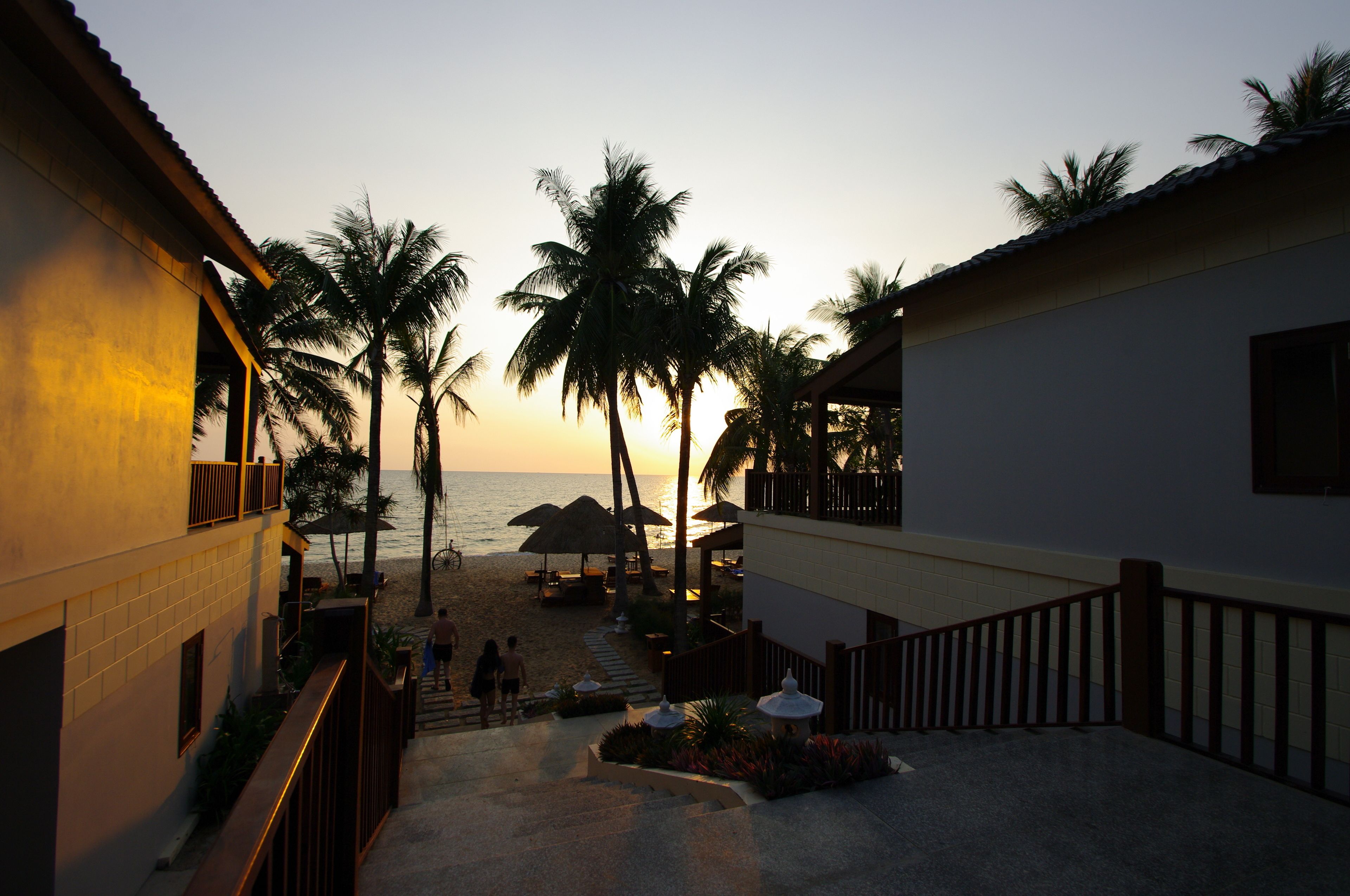 A resort with a beach view, palm trees, and a staircase leading to the beach.