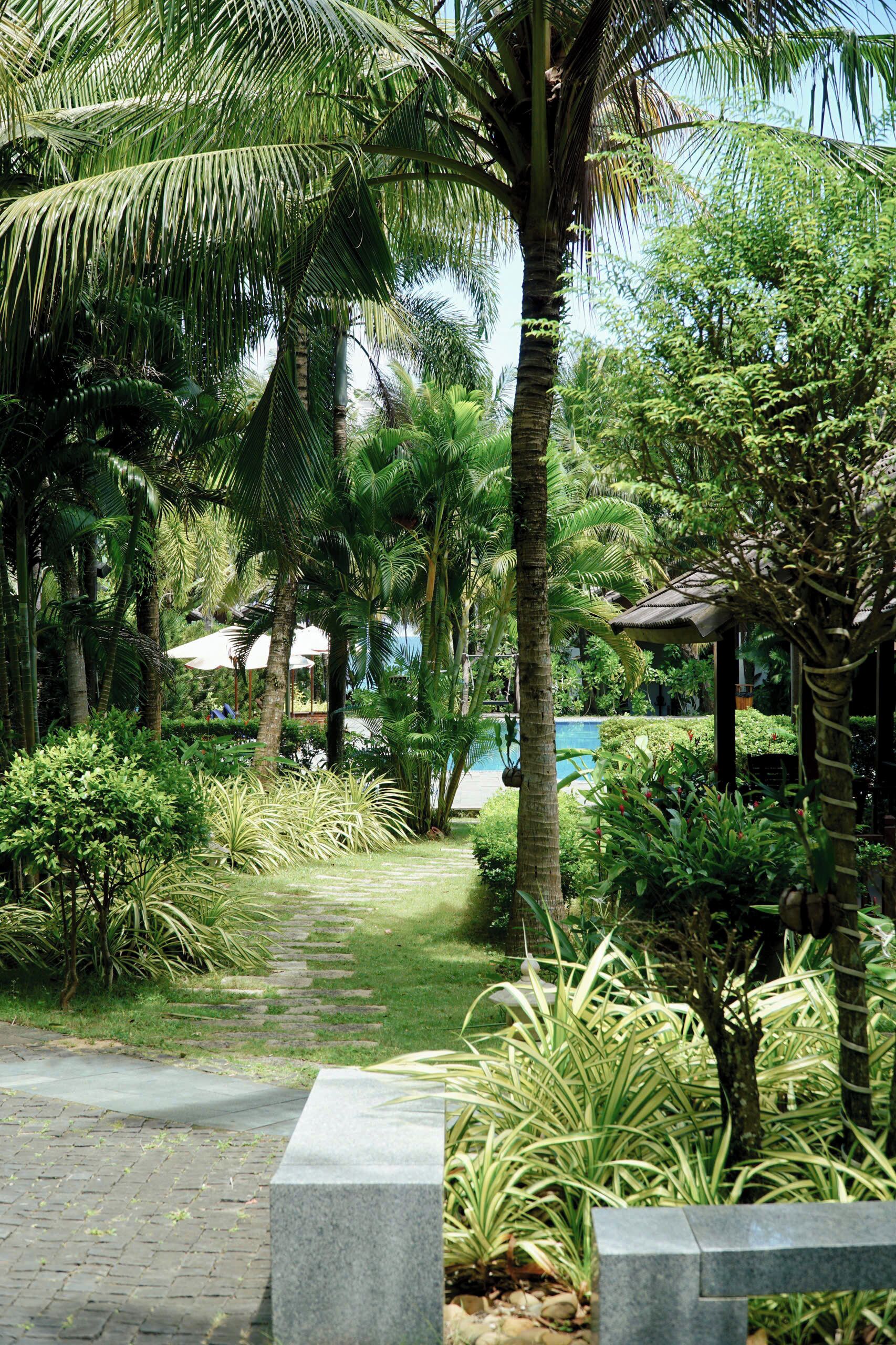 Un sendero en un jardín tropical que conduce a una zona de piscina con palmeras y abundante vegetación.