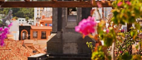 A terrace with a table set for two, a clock tower in the background, and vibrant pink flowers in the foreground.