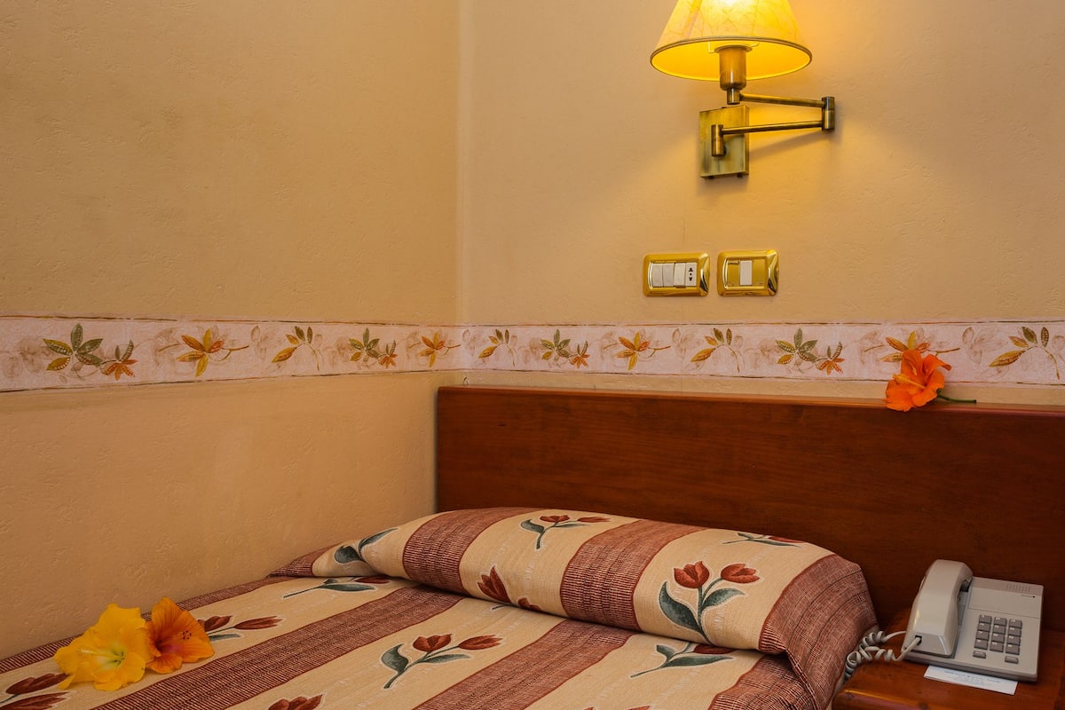 single room | minibar, in-room safe, desk, blackout curtains