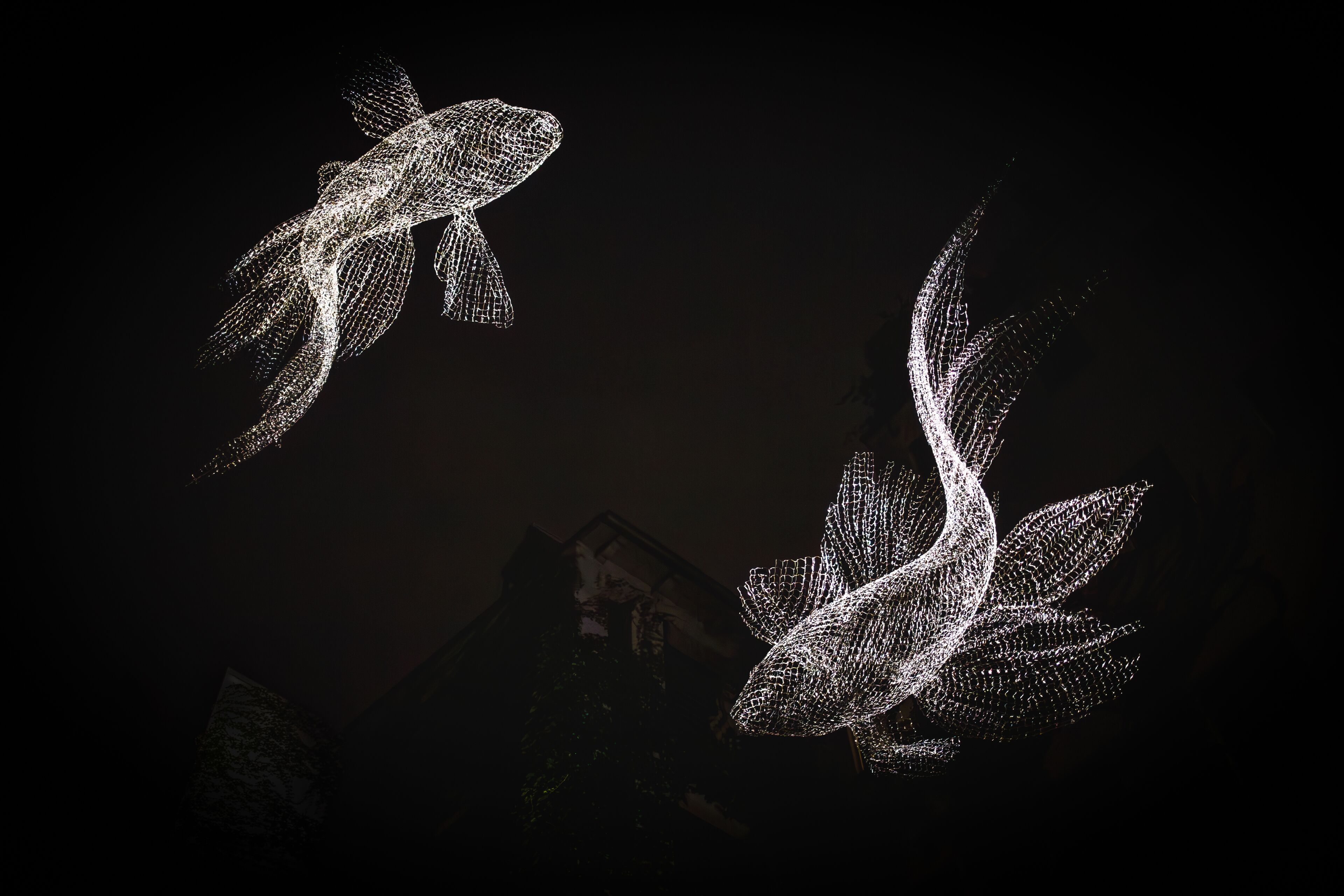 premium apartment | view from room