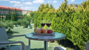 Presidential Suite | View from room