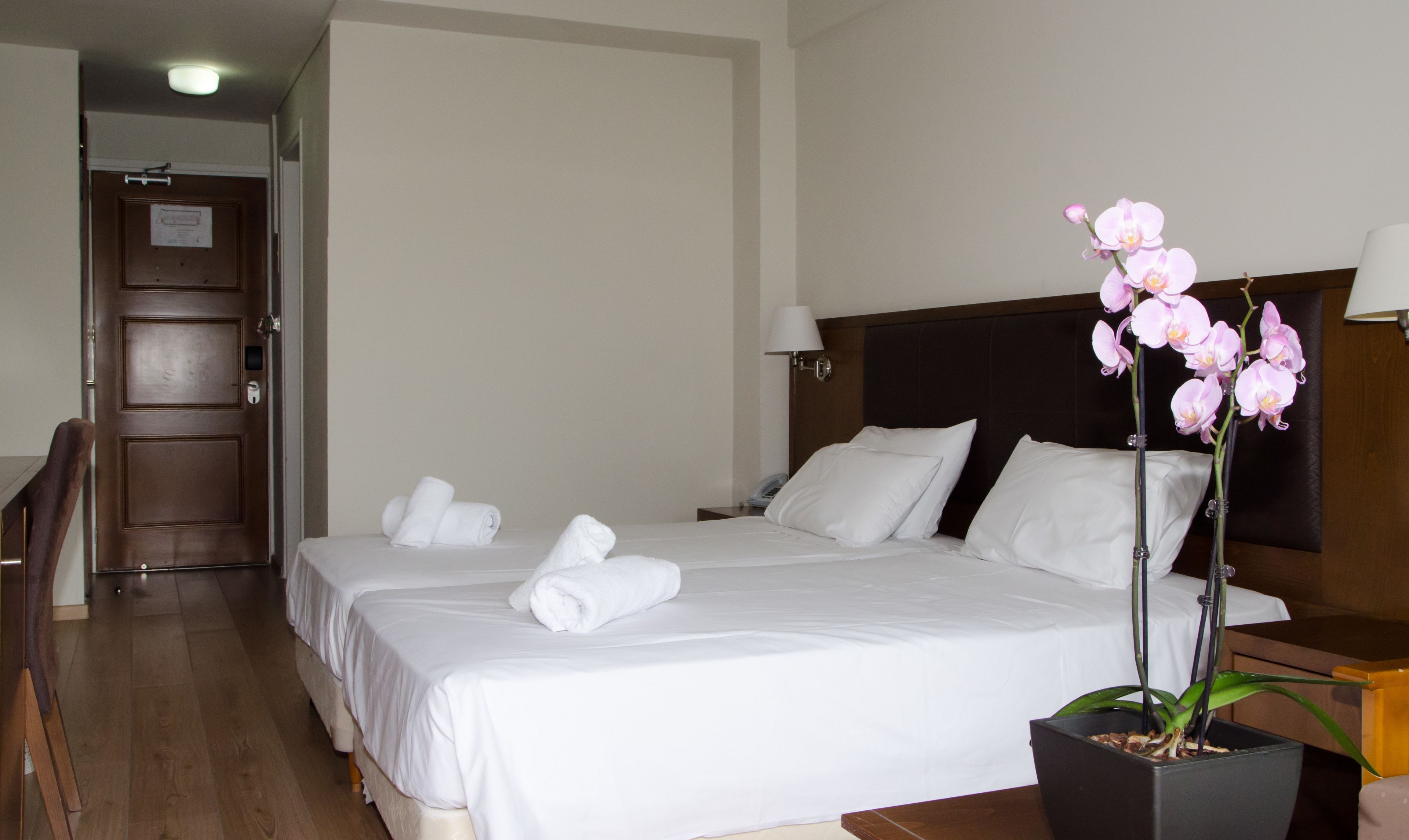 A hotel room with a large bed, two pillows, a bedside table with a lamp, a potted orchid, and a wooden door.