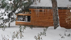 A log cabin with a wooden deck and a stone foundation, surrounded by snow-covered ground and trees. - Elki-Palki (Sovinion)